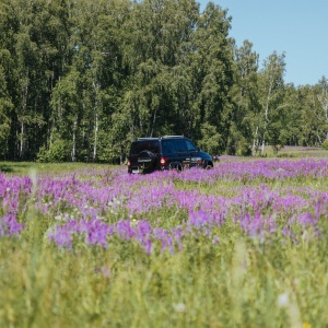 Фото от владельца Автоальянс, официальный дилер SsangYong