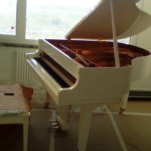 Фото от владельца Муз-Уфа, магазин по продаже и ремонту механического пианино
