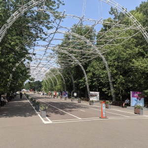 Фото от владельца Сокольники, парк культуры и отдыха