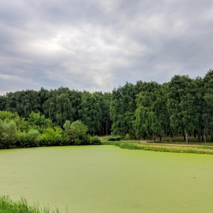 Фото от владельца Пролетарский, парк культуры и отдыха