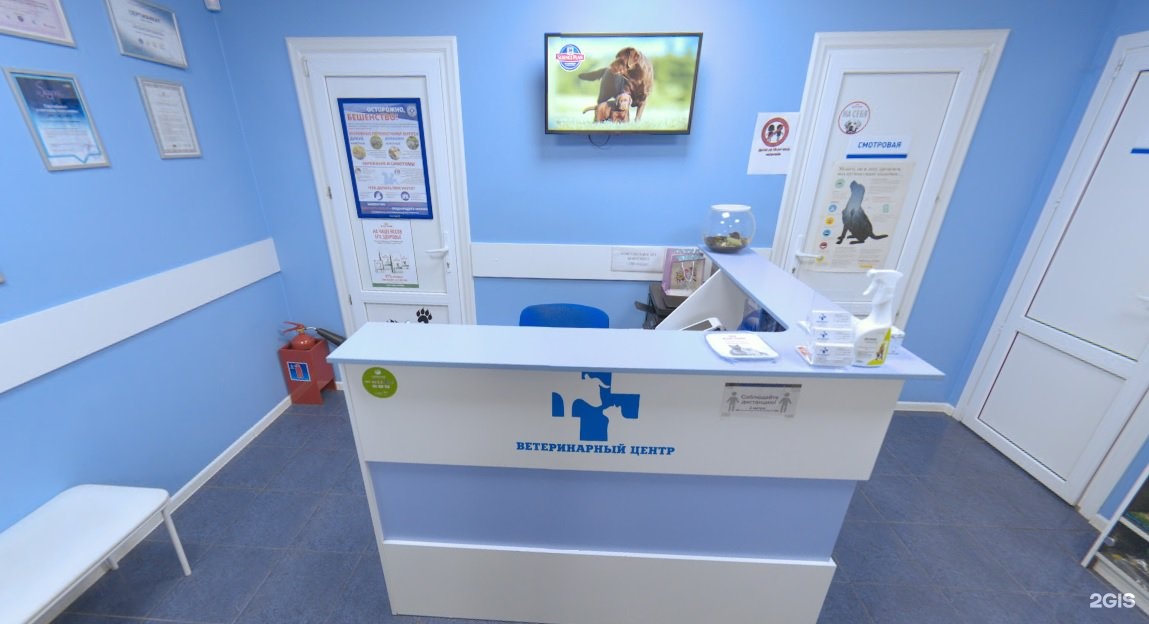 Ветцентр таврово 4. Таврово 4 белгород центральная 1а. Ветцентр таврово 4. Ветцентр тавровский. Ветклиника бирюлево восточное.