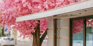 Москва: Отель Chekhoff Hotel Moscow Curio Collection by Hilton