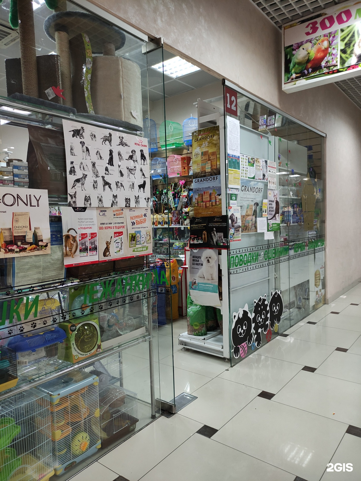 зоомагазин сочи. зоомагазин адлер. зоомагазин лапа. зоомагазин адлер. зоомагазин питомец сочи.