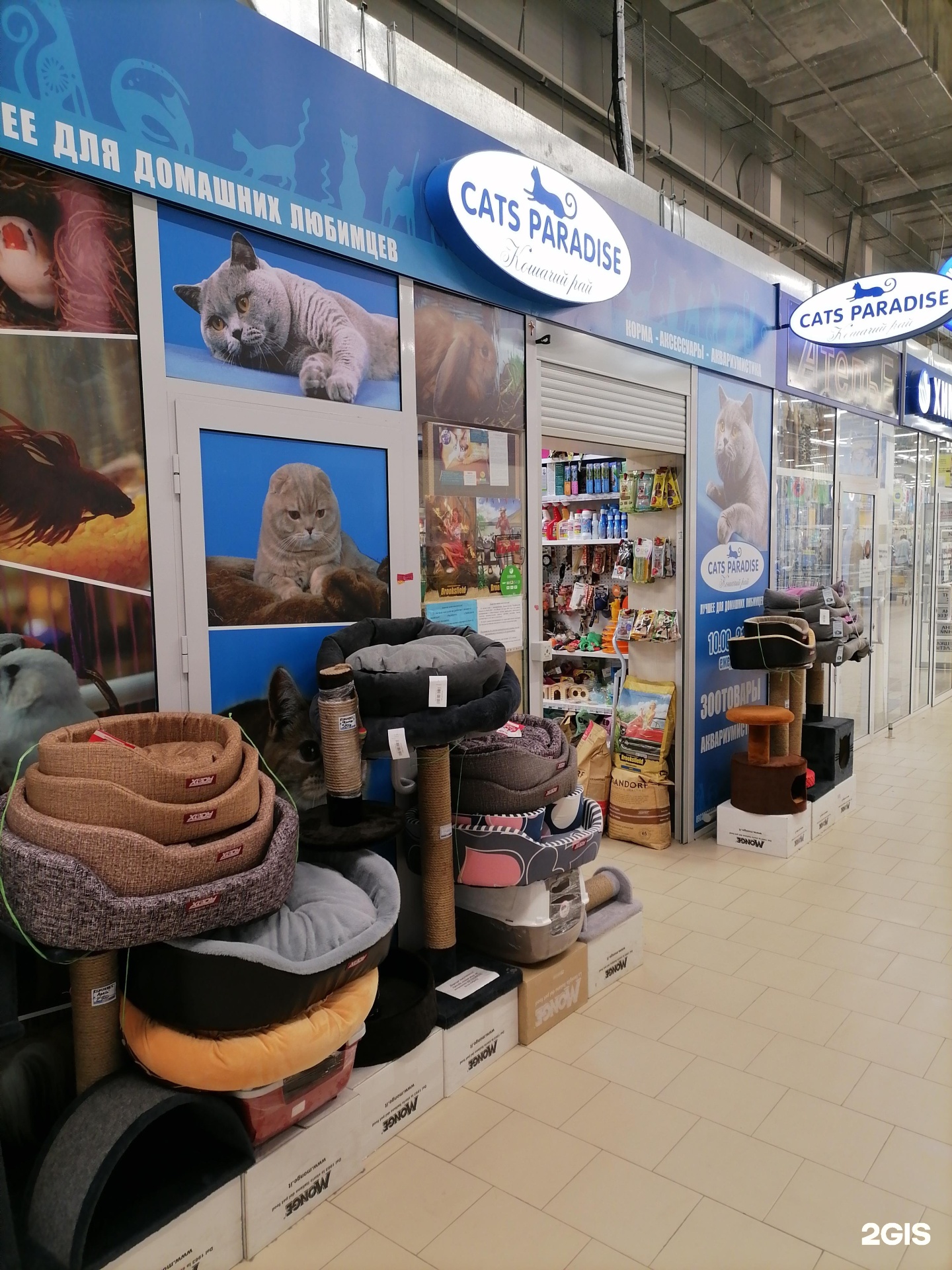 Кошки в парадизе тула. Cats Paradise Челябинск. Лента Зоомаркет. Зоомагазин в ленте. Cats Paradise, Челябинск, улица Дарвина.