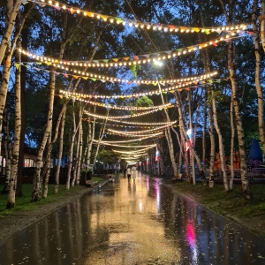 Фото от владельца Городской парк культуры и отдыха им. Ю.А. Гагарина