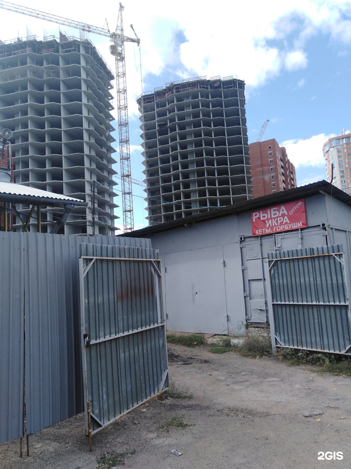 Купить Рыбу Норд Вест В Москве