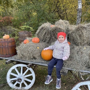 Фото от владельца Аллегро, конный клуб