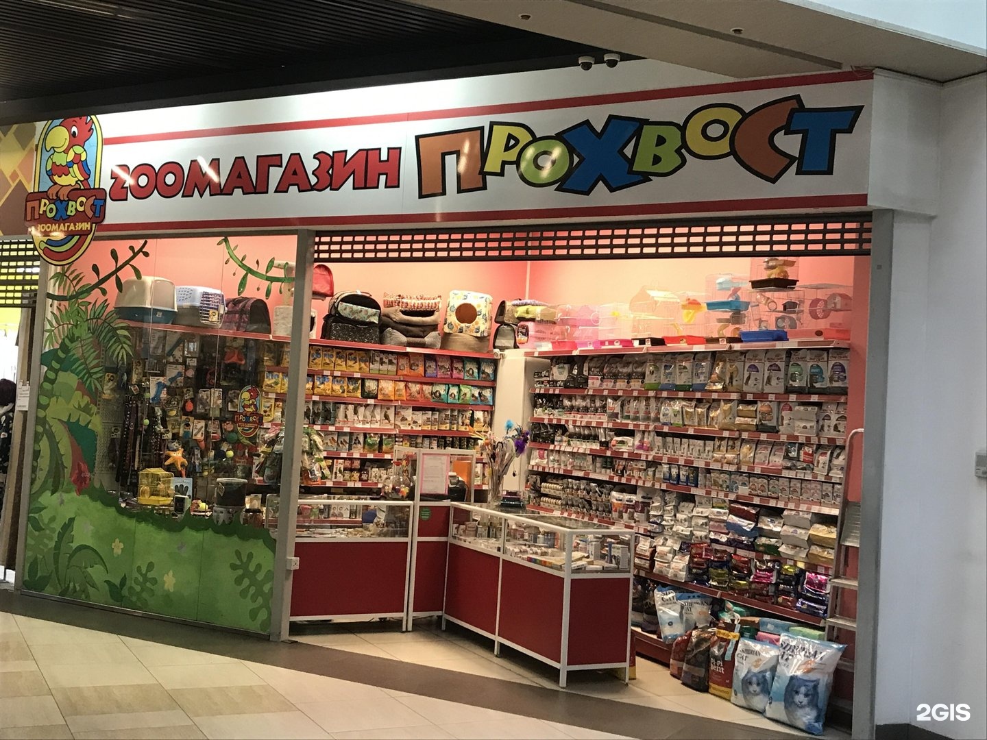 зоомагазин вывеска. красный кролик новосибирск галущака 2а. зоомагазин новосибирск адрес. зоомагазин на ленина. зоомагазин новосибирск адрес.