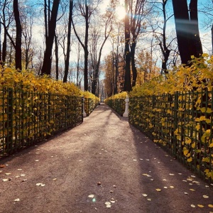 Фото от владельца Летний Сад, музей