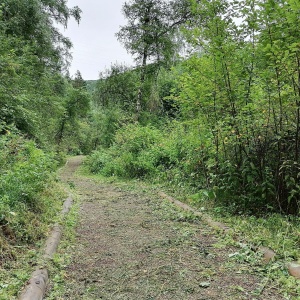 Фото от владельца Столбы, заповедник