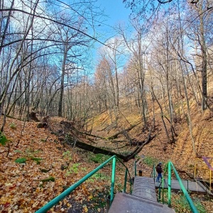 Фото от владельца Лакреевский лес, центральный парк культуры и отдыха