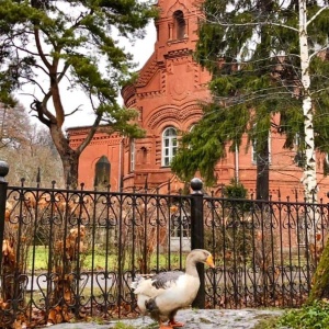 Фото от владельца Храм Покрова Пресвятой Богородицы в Покровском-Стрешневе