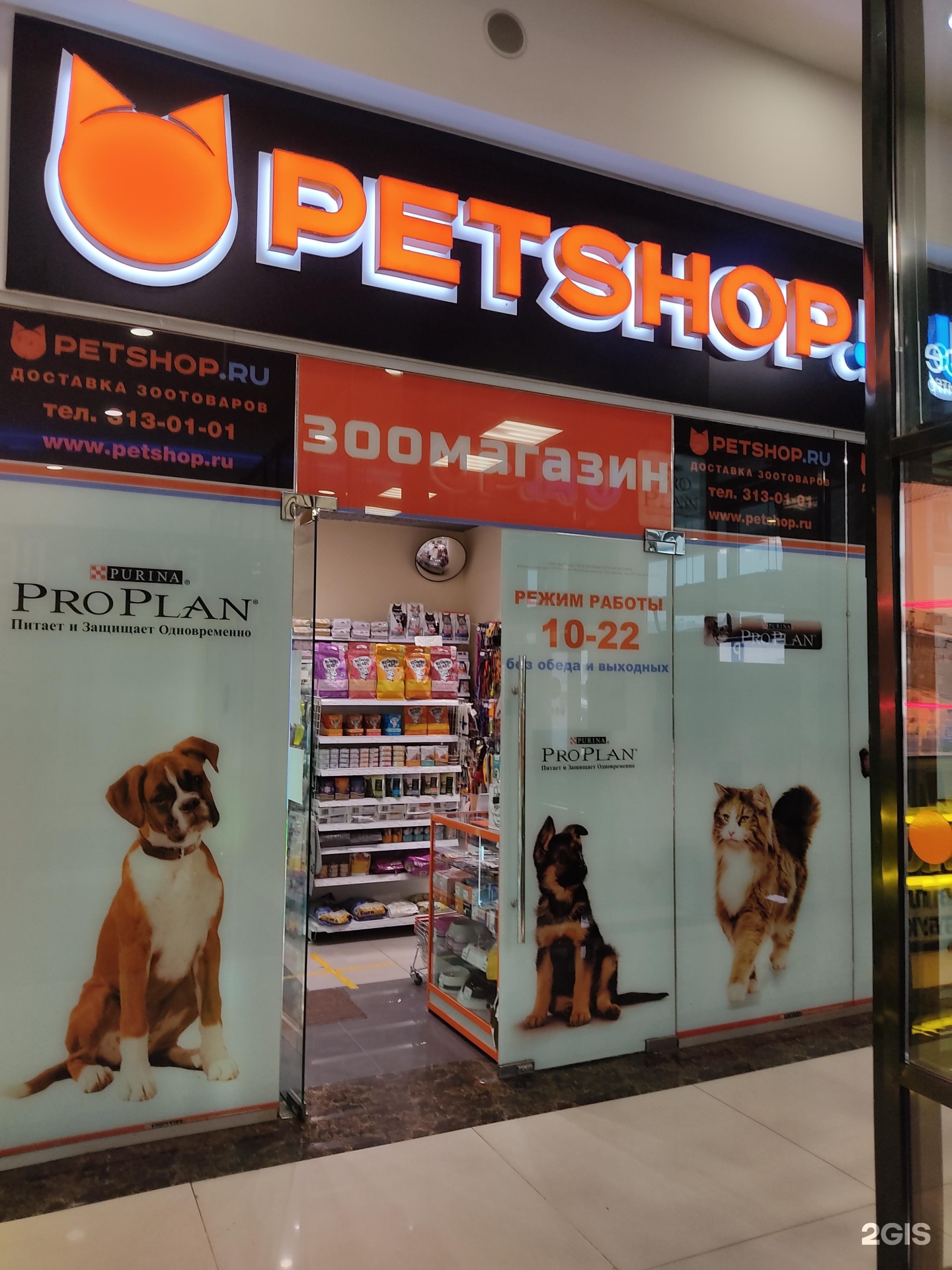 Интернет магазины для животных в спб. Зоомагазин с животными СПБ. Пенза Petshop. Владелец Pet shop. ПЕТШОП Орехово Зуево.
