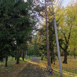 Фото от владельца Центральный парк