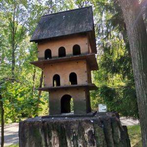 Фото от владельца Центральный парк культуры и отдыха им. С.М. Кирова