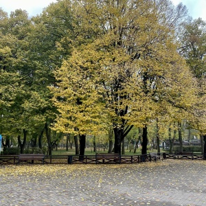 Фото от владельца Парк культуры и отдыха им. М. Горького