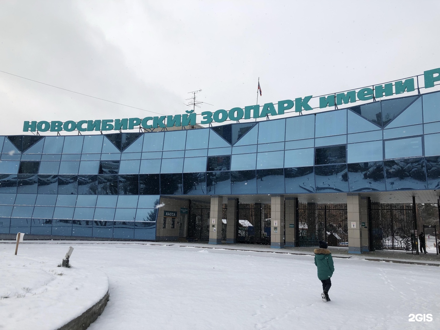 зоопарк в новосибирске зимой