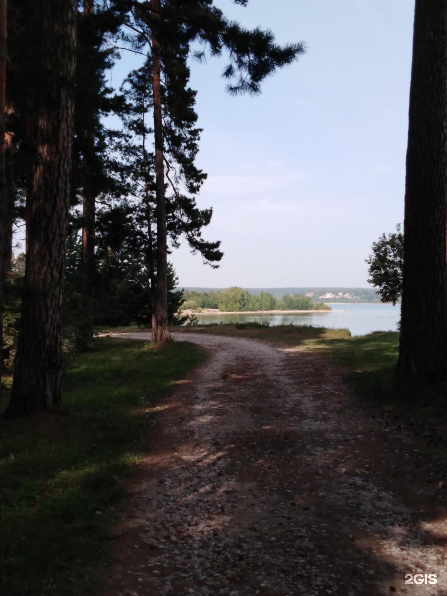 Новосибирская коса. Бердская коса Новосибирск. Парк Бердская коса. Парки в Бердске. Бердская коса фото.