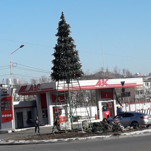 Фото от владельца Рейн, ООО