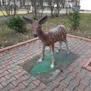 Фото от владельца Прокопьевский, ПАО, санаторий