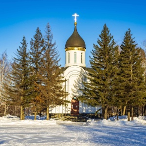 Фото от владельца Часовня Георгия Победоносца, Александра Невского, Дмитрия Донского