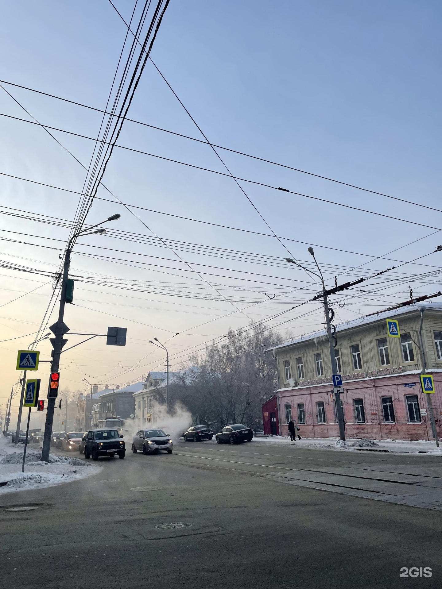 Диспансер на розы люксембург. Розы Люксембург 4в Томск.