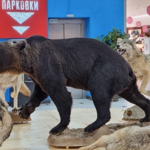 Фото от владельца Гринвич, торгово-развлекательный центр