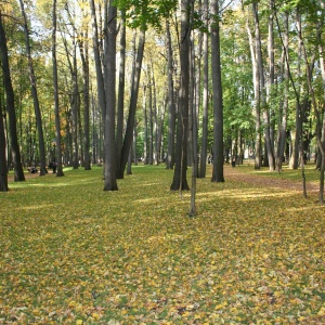 Фото от владельца Царицыно, парк культуры и отдыха