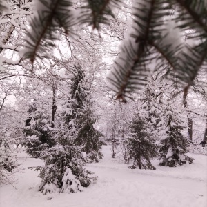 Фото от владельца Городской парк