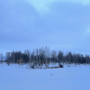 Фото от владельца Парк культуры и отдыха, г. Колпино