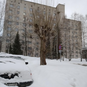 Фото от владельца Чувашский государственный университет им. И.Н. Ульянова