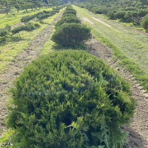 Фото от владельца Братья Green, группа компаний