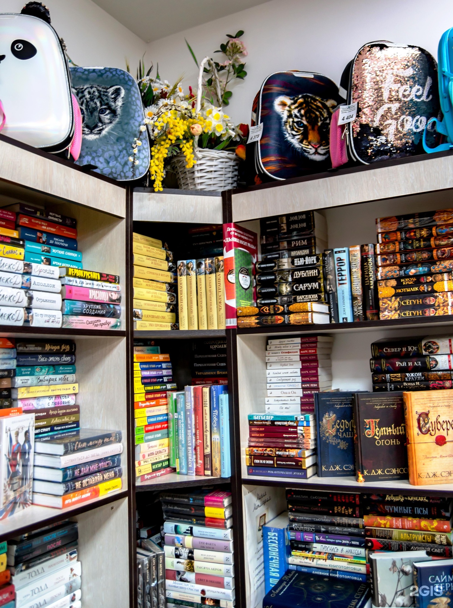книжный бум уссурийск. магазин книжный бум в уссурийске. книжный бум уссурийск. книжный бум уссурийск. книжные магазина на некрасова уссурийск.