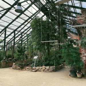 Фото от владельца Аптекарский огород, ботанический сад