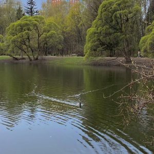 Фото от владельца Фили, парк культуры и отдыха