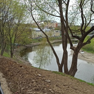 Фото от владельца Городской парк культуры и отдыха им. Виктора Талалихина