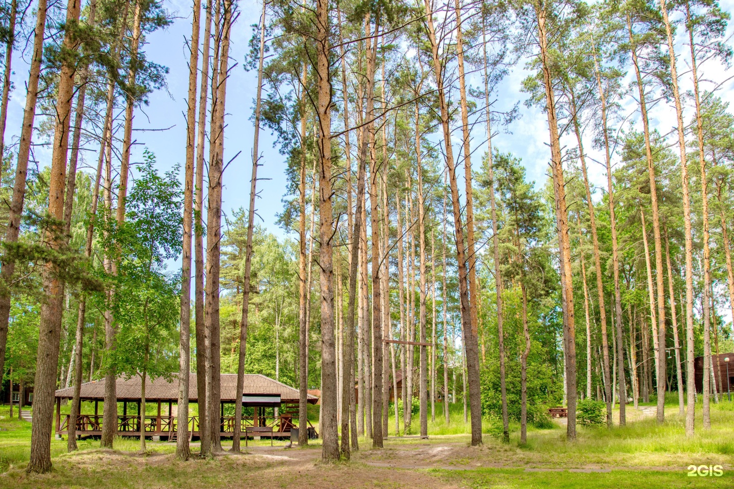 лосево парк