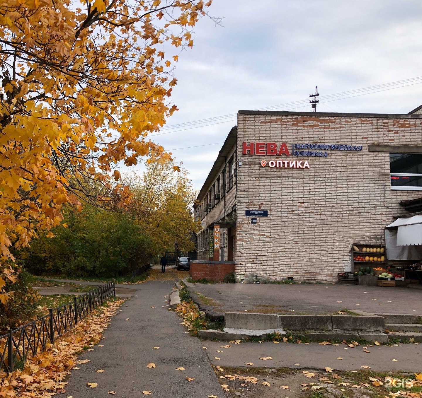 Neva, drug abuse clinic, Russia, Saint Petersburg, Budapeshtskaya ulitsa, 44 - Y