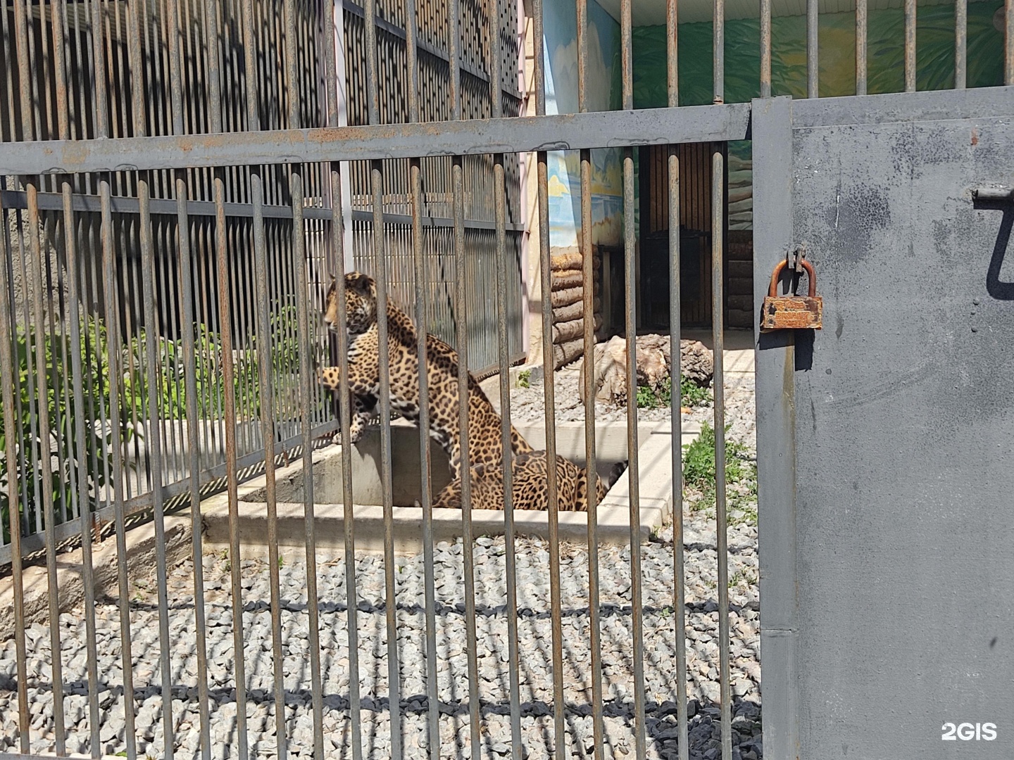 караганда зоопарк