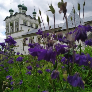 Фото от владельца Николо-Вяжищский женский монастырь
