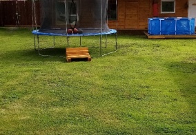 Турбаза Лисья нора в Республике Алтай