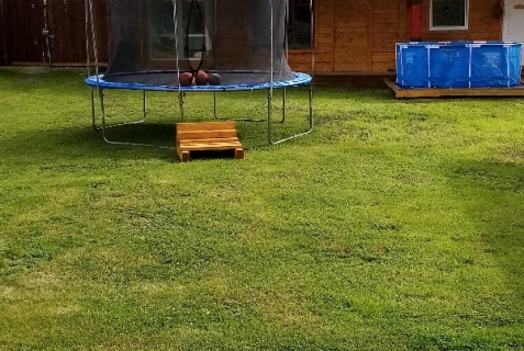 Узнезя: Турбаза Лисья нора