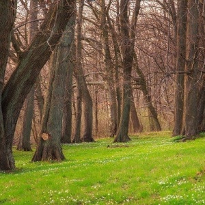 Фото от владельца Варежкино, пансионат