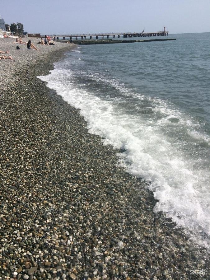 Вардане ул львовская 5 лита гостевой дом. Лила сочи. Сочи вардане гостевой дом лита. Посёлок вардане гостивой дом лита. 127.