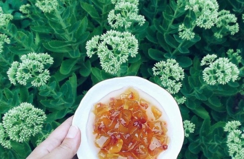 пгт Джубга: Отель Гестия