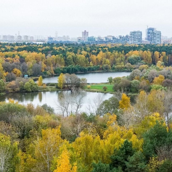 Покровское стрешнево гостиница москва фото