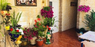 Адлер: Гостевой дом Гуля