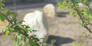 Махачкала: Гостевой дом Green house