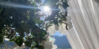 Туекта: Турбаза Вояж Туу