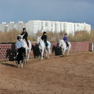 Фото от владельца Каприоль, конный клуб